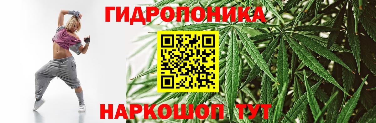 Бошки Шишки сатива Славянск-на-Кубани
